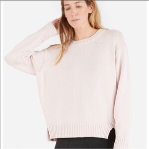 Everlane Relaxed Crew Sweater in Pale Pink